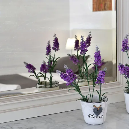 호텔 Parian Lithos 3*